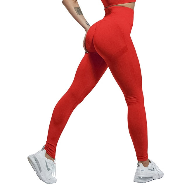 Women Fitness Pants