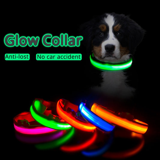 Dog LED Necklace