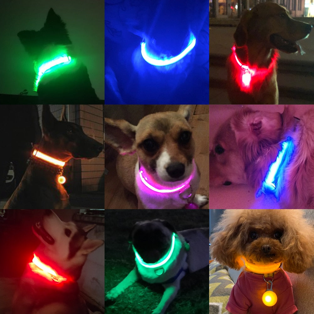 Dog LED Necklace
